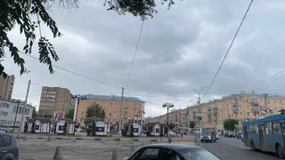 Исторический дом в Рязани стал рассадником крыс, по мнению жителей