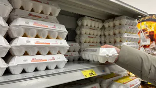 Больше не покупаю старье: вот как узнать свежесть куриного яйца - всего 3 приема