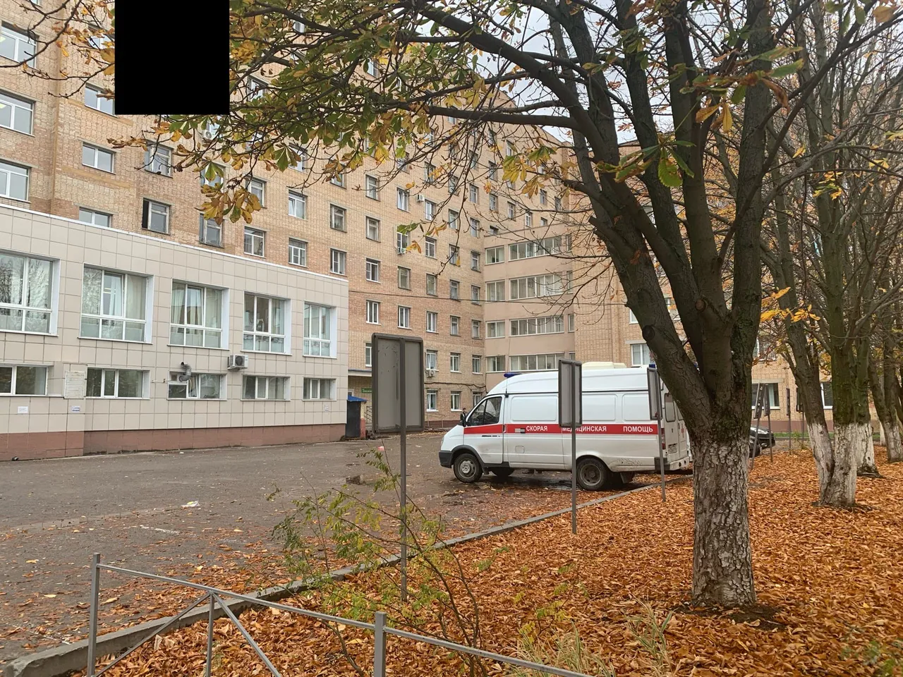 Подборка добра: благодарные рязанцы отзываются о медиках