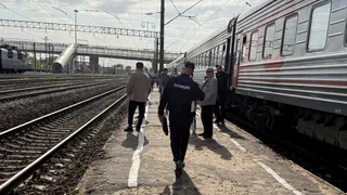 Семь иностранцев отправили в аэропорт в сопровождении полиции 