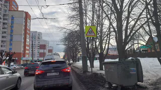 Рязанцы пожаловались на заброшенные тротуары и мусор после вырубки деревьев