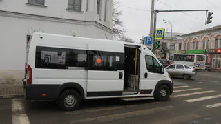 За прошлый год из-за рязанских маршрутчиков пострадало почти 500 человек