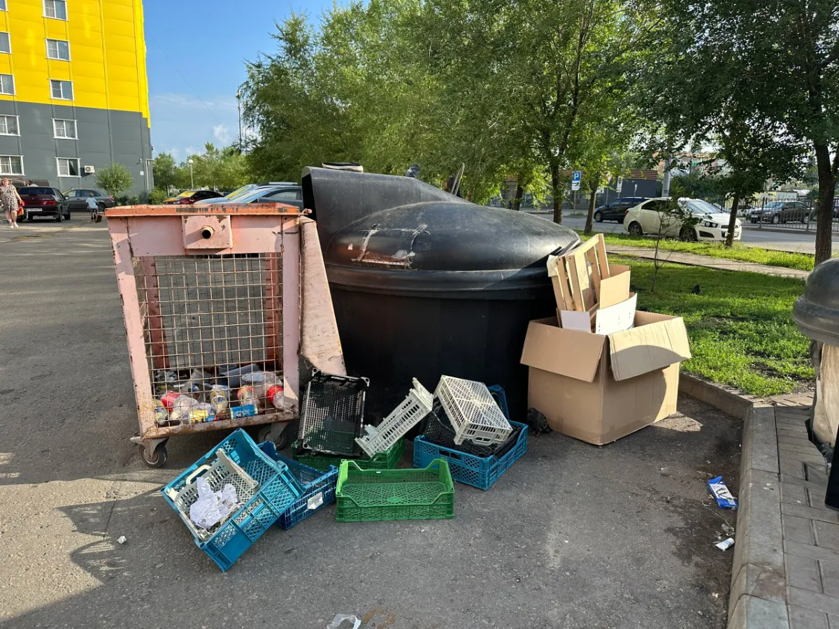 «Помойка как городская свалка»: рязанцы требуют навести порядок на Горького и Фрунзе