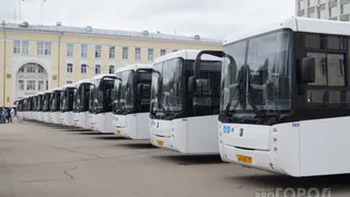 В Рязани ежедневно немалая часть автобусов исчезает с маршрутов
