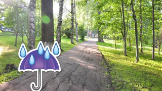 Погода в Рязани: на этой неделе лето не придет