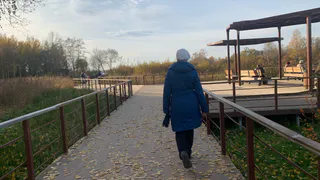 «Когда в наших дворах появится озеленение и парковки?»: как рязанцы оценивают состояние своих дворовых территорий