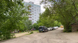 В Рязани упавшее дерево повредило припаркованные автомобили