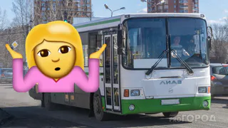 "Сколько будет продолжаться этот бардак?": рязанцы вновь жалуются на 20 автобусы