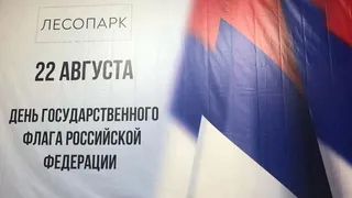 Врио губернатора Малков отчитал Сорокину за неправильный триколор  