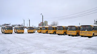 В Рязань поступила новая партия школьных автобусов