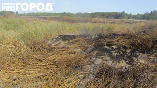 Пользователи соцсетей снова пожаловались на ужасную вонь в Рязани