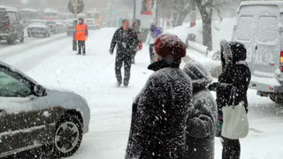 Пасмурно и снежно: синоптики рассказали о погоде в четверг