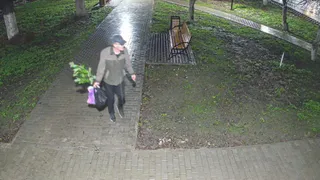 «Цветы, которые мы так ждали, просто украдены»: в Рязани ищут мужчину, укравшего гортензии из сквера
