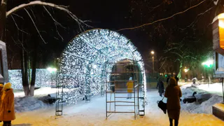 В Рязани объявлено о локальных праздничных новогодних мероприятиях