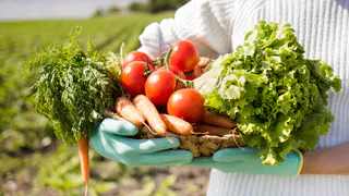 Аналитика ВТБ: экспорт сельхоз продукции превысит 50 млрд долларов