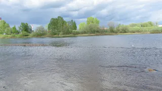 В Новомичуринске утонул мужчина
