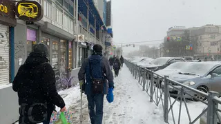 Сказочное богатство: Тамара Глоба назвала знаки Зодиака, которым повезет с деньгами в 2023