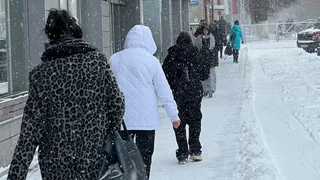 В Рязани 24 апреля ожидаются снег, заморозки до -3° и гололедица