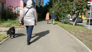 Солнце и ветер: какая погода ждет рязанцев 7 октября