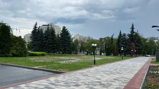 Сквер у памятника Петрову будут благоустраивать