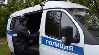 В Касимовском районе правоохранители уничтожили заросли конопли
