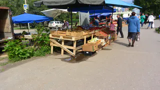 В Дашково - Песочне остановка превратилась в стихийный рынок