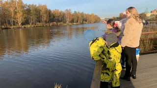 Май перестал радовать рязанцев теплой погодой