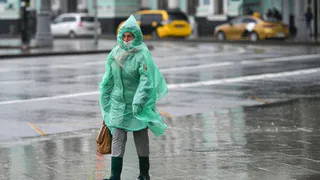 21 апреля в Рязанской области будет дождь и +11 