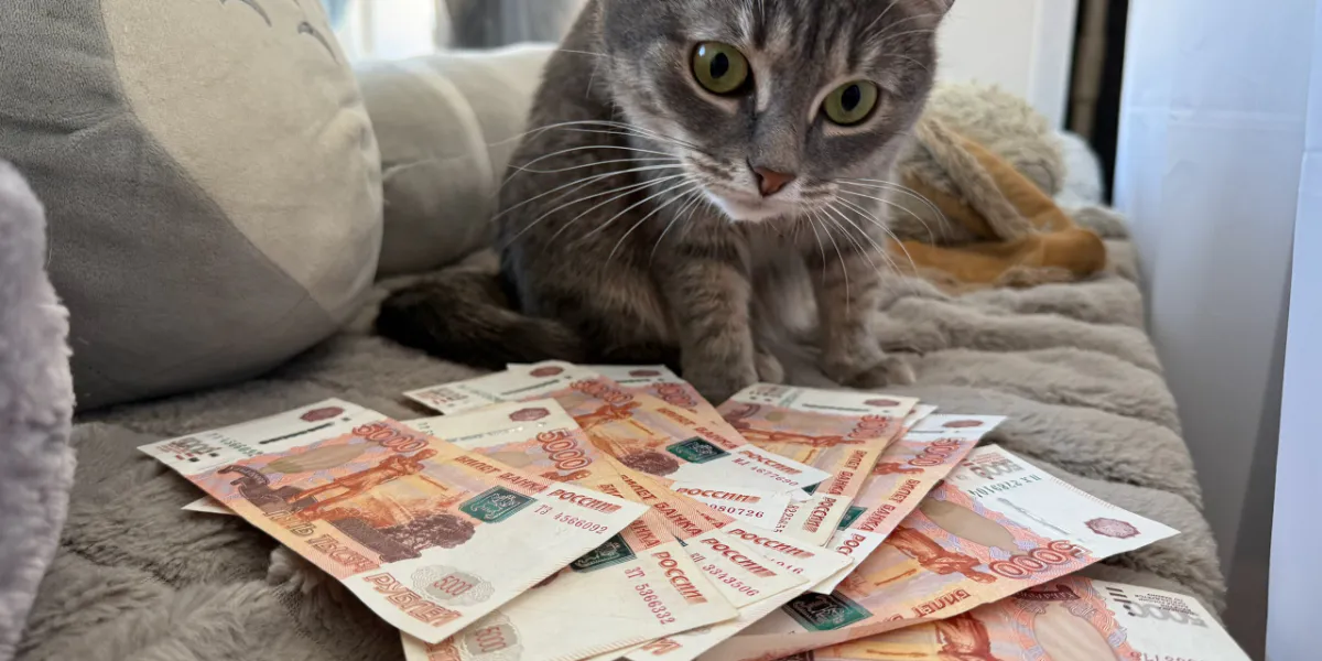 На новую тепломагистраль в Рязани выделено почти 115 млн рублей
