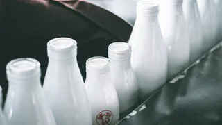 В России продукция с растительными жирами перестала считаться молочной