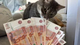 Касается всех, кто хранит деньги в наличке: начинается историческая денежная реформа - такого не было с лихих девяностых