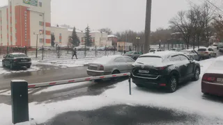 В Рязани упавшее дерево заблокировало улицу