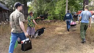 В селе Деулино жителей эвакуируют из-за пожарной опасности 