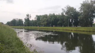 Что есть в Беларуси, но редко встретишь в России: 12 отличий