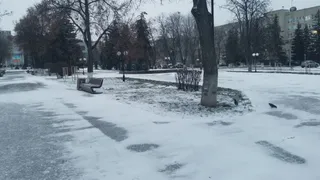 Прогноз погоды на 19 декабря в Рязанской области