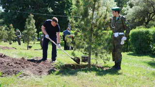 Кедровую аллею в память о героях-чекистах высадили в Рязани