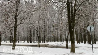В воскресенье, 5 марта, в Рязани ожидается сильный ветер и метель 