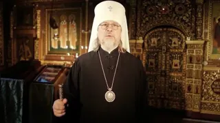 Рязанский митрополит Марк высказался о подаянии милостыни на улице