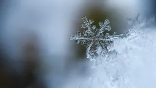 Зима постепенно стучится в окно: в ночь на понедельник в Рязанской области выпадет снег