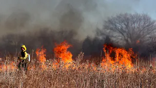 В Рязанской области запретили посещать леса