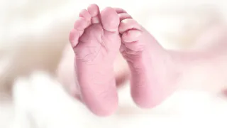 В Рязанской области в июле 2024 года детей называли Платон и Илона