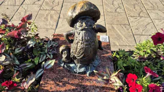 Главное за неделю в Рязани: скачок цен, скандал в Шилове и старт выборов