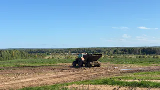 Рязанские аграрии попались на сомнительных семенах 