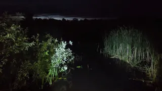 Под Рязанью нашли труп пропавшего мужчины