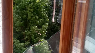 В Приокском дерево упало на авто, сдернув все электропровода на своем пути