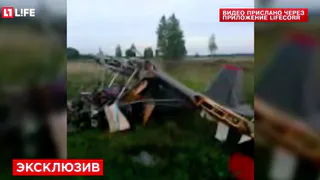 Life.ru опубликовал видео с места крушения самолета под Рязанью