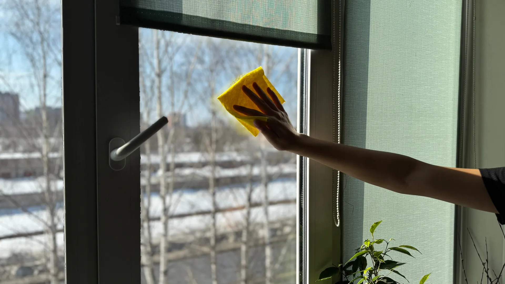 Не трите окна до седьмого пота: 2 ложки в воду - и стекла сияют без единого развода и следов от дождя