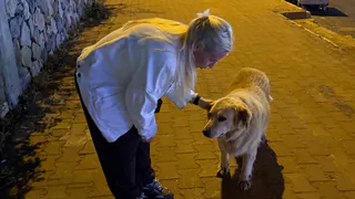 В Рязани 12 июля пройдёт выставка‑пристройство животных