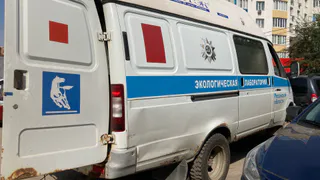 Жители Рязани массово жалуются на вонь в городе