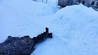 Пожилая женщина замерзла на дороге в Скопинском районе